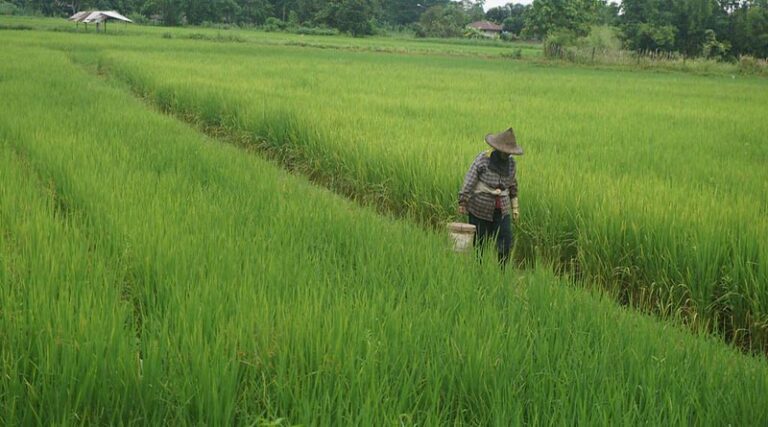 Sub Mission on Agriculture Mechanization (SMAM) promoting Farm Mechanisation in India