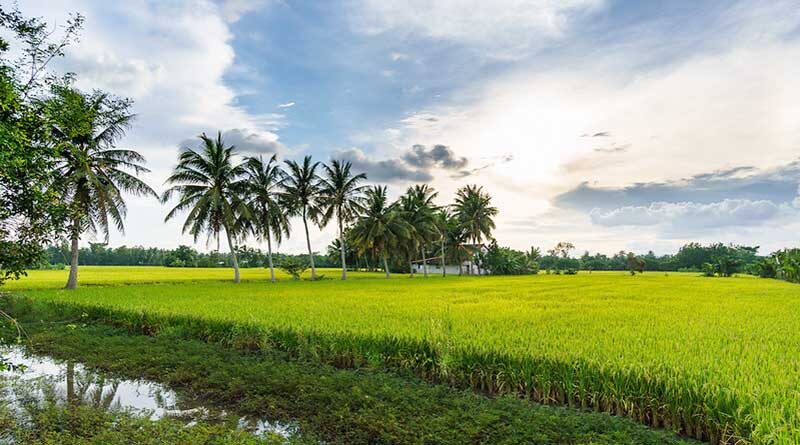 Permission for Remote Sensing to Support Pradhan Mantri Fasal Bima Yojana