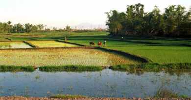 Training to Farmers to Increase Crop Yield