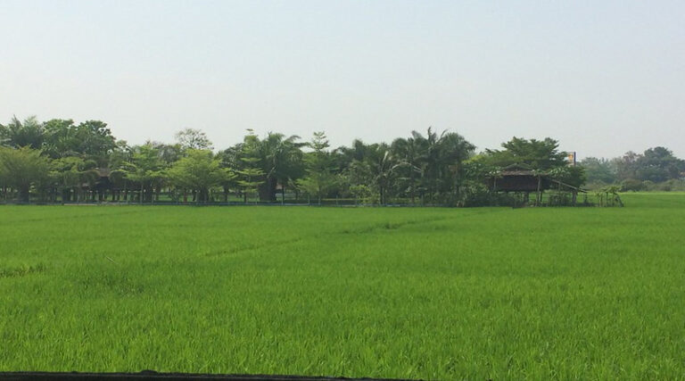 Mr. Kanwar Pal Has Said That The State Government Is Committed To Encourage Farmers To Adopt Scientific Farming Techniques And Thus Increase Their Income