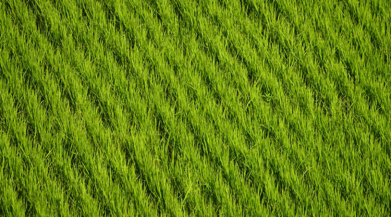 Forward Looking and Growth Oriented Budget for Chemical and Petrochemical Sector