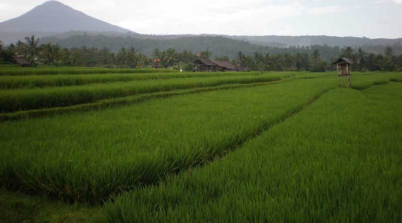 A provision of Rs.200 crores has been made for a new scheme-SVAMITVA Under Panchayati Raj Ministry