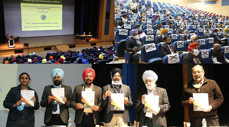 PAU experts address farmers’ issues at kisan committee meet