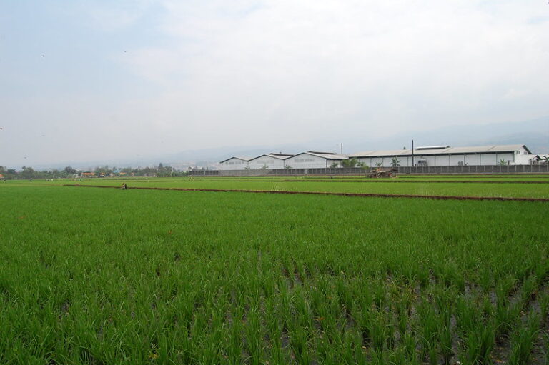 This is a result of hard work of farmers & scientists and thoughtful policies of Modi Government