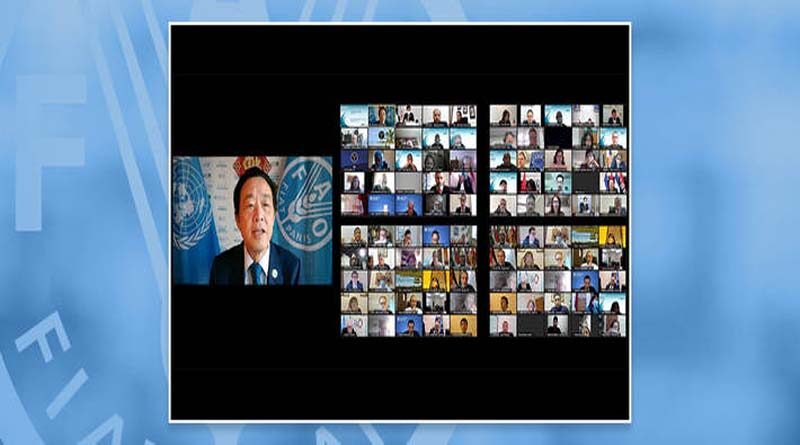 Fisheries and aquaculture are a critical part of global agri-food systems transformation, says FAO Director-General