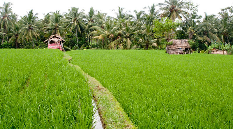 Mr. J.P Dalal Said That The State Government Is Continuously Working To Increase The Income Of Farmers