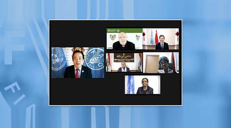 Pulses are key to food security, healthy diets and sustainable agri-food systems, says FAO