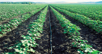 The Micro Irrigation Fund (MIF), with a corpus of Rs. 5,000 crores has been created under NABARD