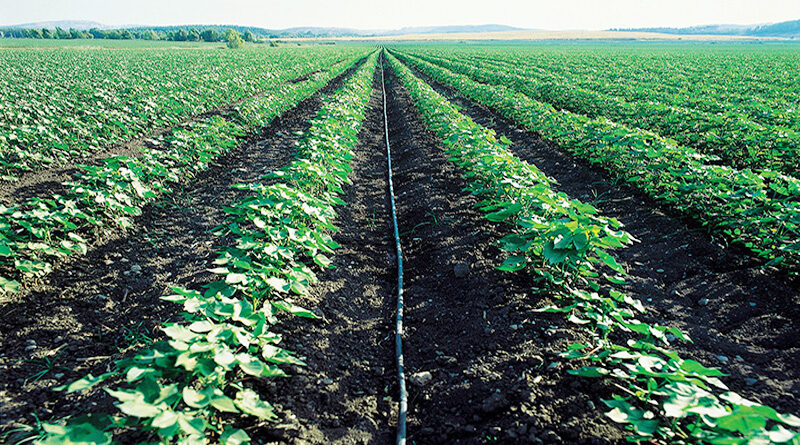 The Micro Irrigation Fund (MIF), with a corpus of Rs. 5,000 crores has been created under NABARD
