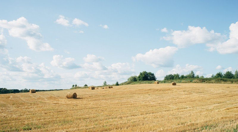 Linking all Farmers to Institutional Credit