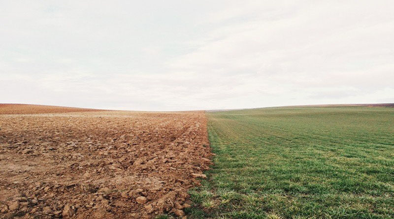 Research and Development (R&D) in Agriculture Sector