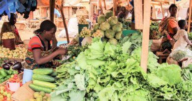 CABI shares expertise on strengthening and diversifying food systems at all-Africa vegetable summit