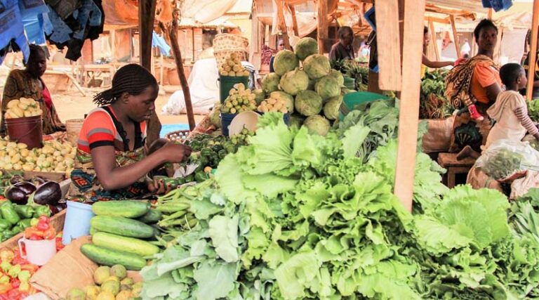 CABI shares expertise on strengthening and diversifying food systems at all-Africa vegetable summit
