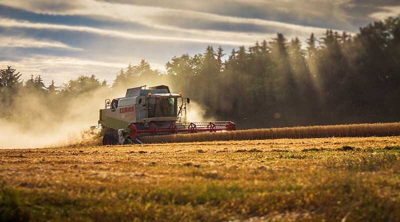 CABI contributes to AgriFood and Nutrition section of new Microbiome Strategic Roadmap