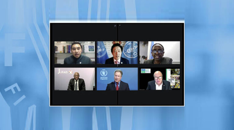 Committee on World Food Security kicks off calling for comprehensive transformation of agri-food systems
