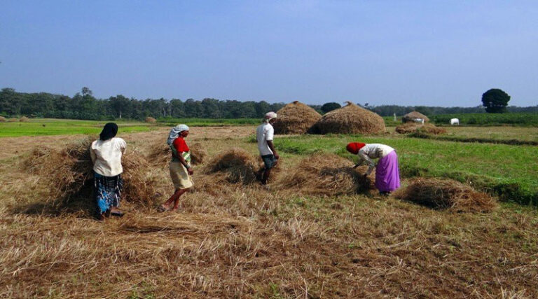 The Upcoming State Budget 2021-2022 Will Prove To Be Very Significant Towards Enhancing Farmers