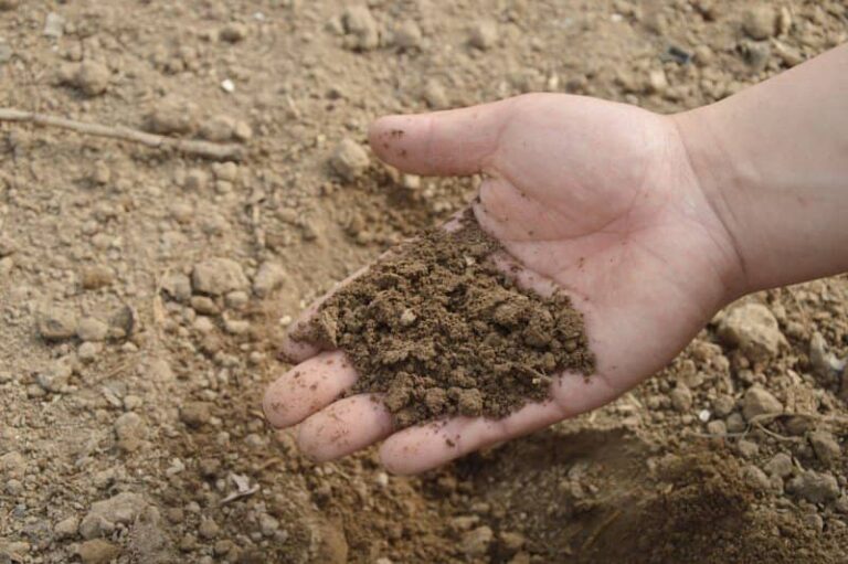 Indian Government responds on Excessive use of Fertilizer in India
