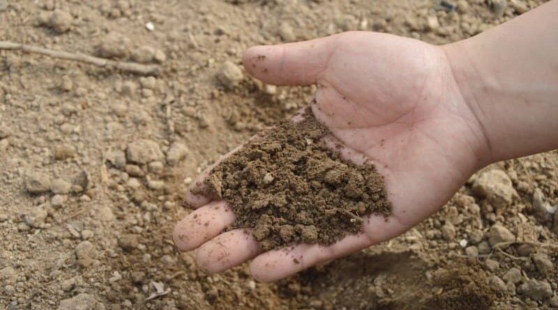 Indian Government responds on Excessive use of Fertilizer in India