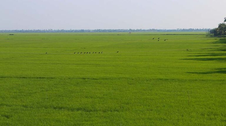 Utilization of Agriculture Infrastructure Fund in India