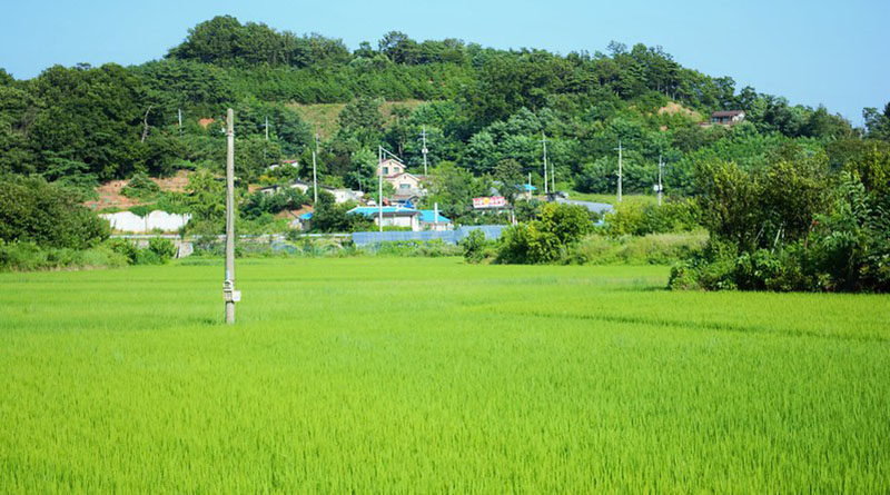 That The State Government Is Making Continuous Efforts To Bring River Saraswati To Surface