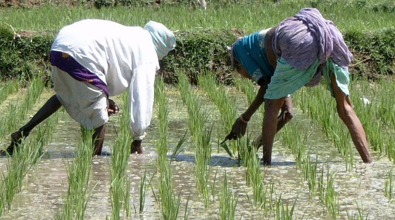 CAPT Amarinder Leads Punjab Vidhan Sabha In Obituary References To Farmers & Farm Labourers During Ongoing Farm Agitation Besides Noted Personalities