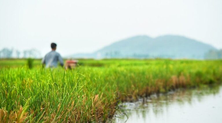 Premium Subsidy on Crop Insurance