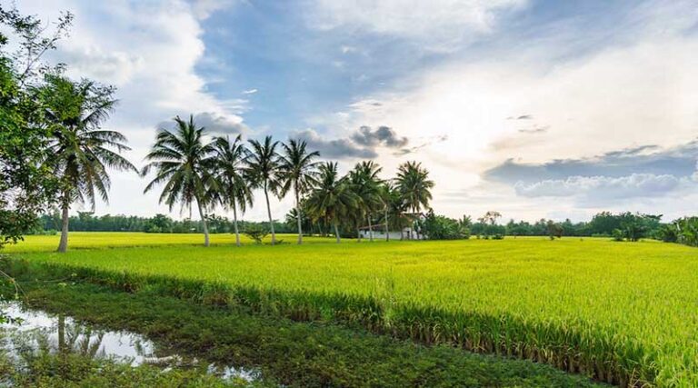 Agriculture Voltage Technology to increase income of Indian farmers