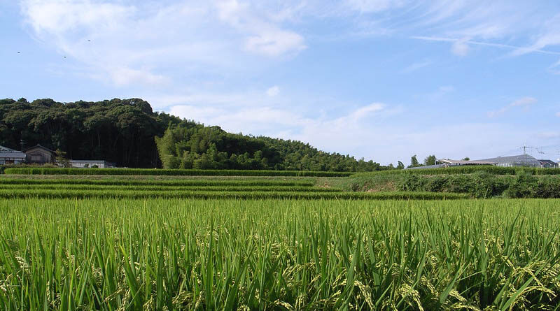 While Taking First Of Its Kind Decision, Haryana Government Has Decided Not To Levy Any Property Tax On The Land Used For Agriculture Only In Urban Areas