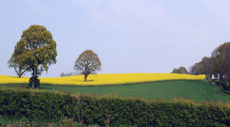 Trend of enterprising youth returning to villages to take up agriculture must be encouraged: Vice President
