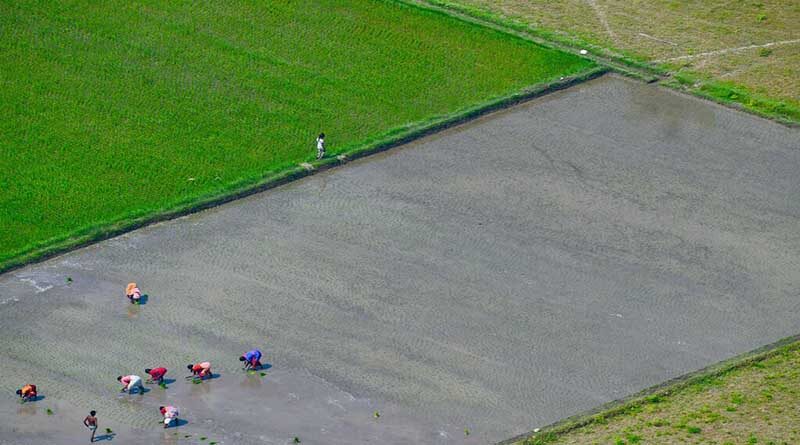 Civilized society cannot be imagined without women