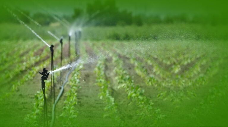 APEDA organizes virtual buyer-seller-meet with Nepal for harnessing and strengthening agri-exports potential