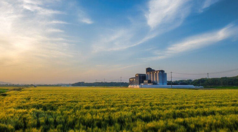 Process of Setting up Cold Storage with financial assistance in India