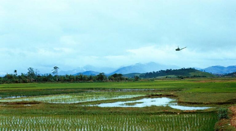 Bringing Green Revolution to Eastern India, scheme under implementation: Agriculture Ministry