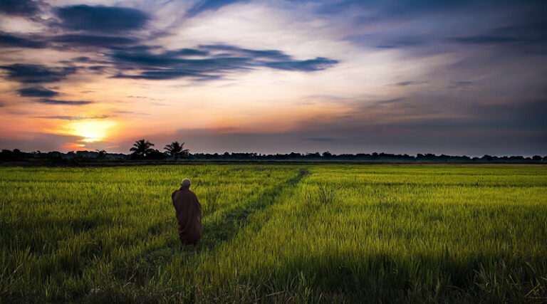Rural Areas Under Atmanirbhar Bharat' Campaign As Envisioned By Prime Minister, Mr. Narendra Modi