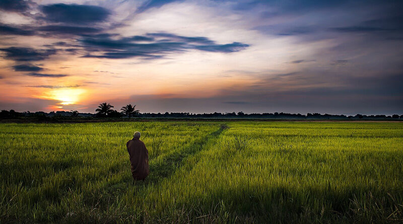 Rural Areas Under Atmanirbhar Bharat' Campaign As Envisioned By Prime Minister, Mr. Narendra Modi