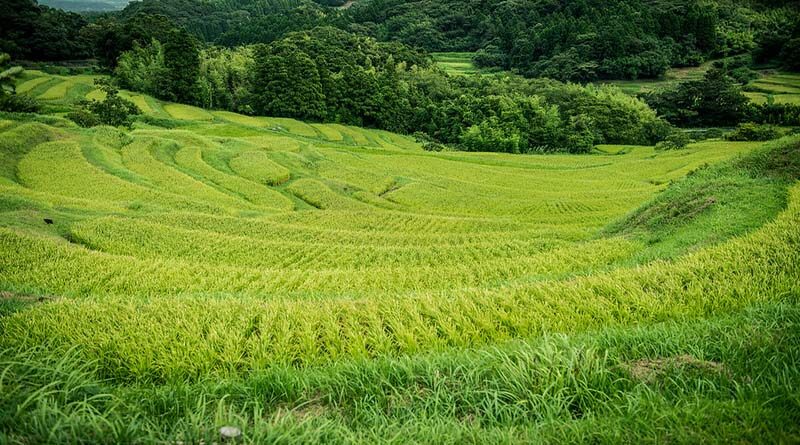 Indian Agriculture Ministry has signed 83 MoUs/Agreements with other countries for cooperation in Agriculture and allied sectors till date
