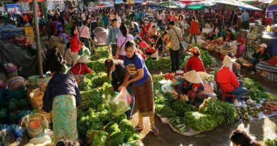 UN Food Systems Summit brief calls for global increase in consumption of fruits and vegetables