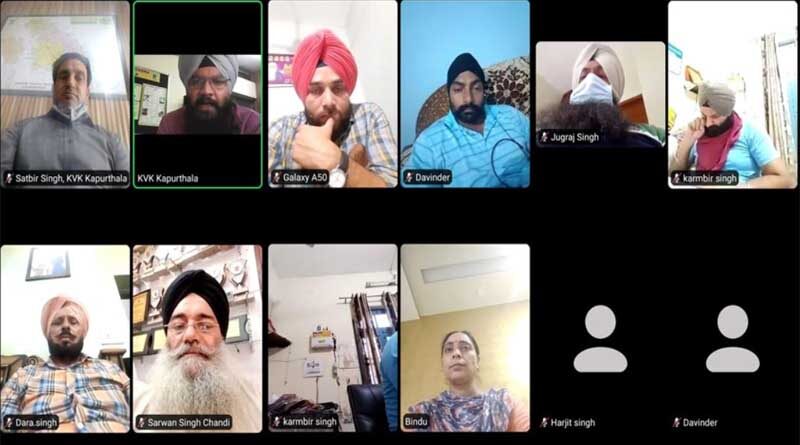 KVK, Kapurthala Organizes Webinar on “DIRECT SEEDED RICE”