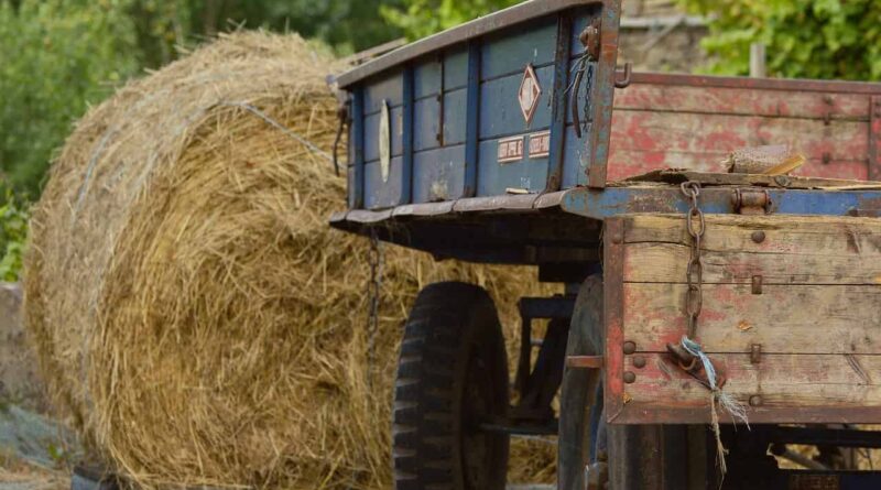 Agriculture Infrastructure Fund applications cross the Rs. 8,000 crore mark