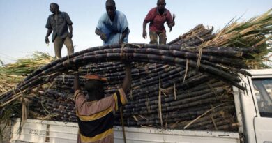 International food prices continue rising in April