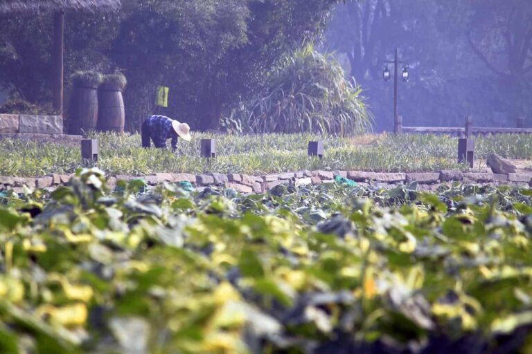 2021 China's top 100 pesticide companies announced, ADAMA tops the list