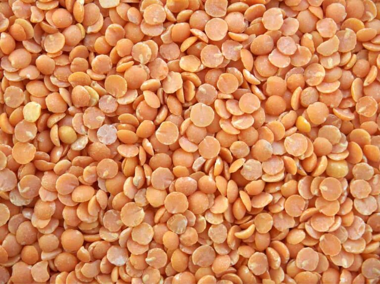 4.05 lakh hectare of Kharif 2021 pulses to be funded by the Central Government