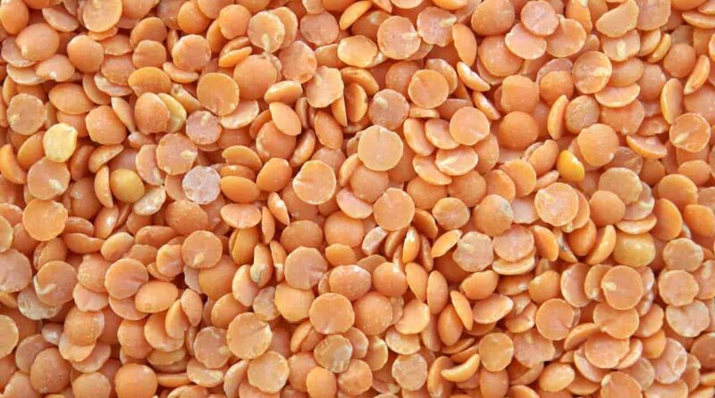 4.05 lakh hectare of Kharif 2021 pulses to be funded by the Central Government