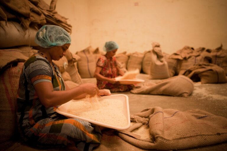 Food Processing Ministry issues guidelines for Production Linked Incentive Scheme