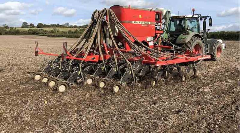 Conservation ag research shows sustainable route