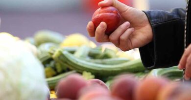 The History of Fruit Breeding: Celebrating 20 Years Advancing the Industry
