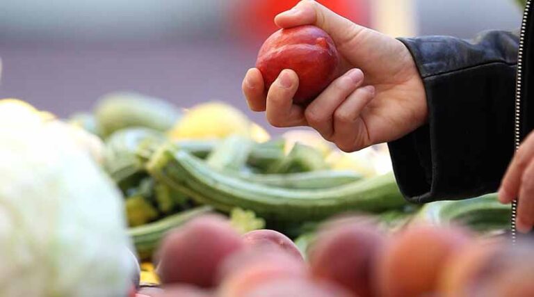The History of Fruit Breeding: Celebrating 20 Years Advancing the Industry