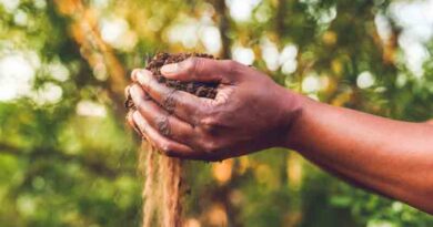 Yara invests in Boomitra to advance soil carbon capture