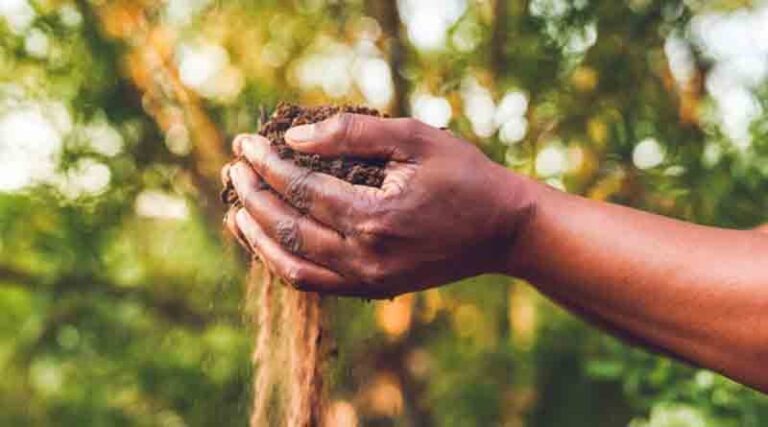 Yara invests in Boomitra to advance soil carbon capture