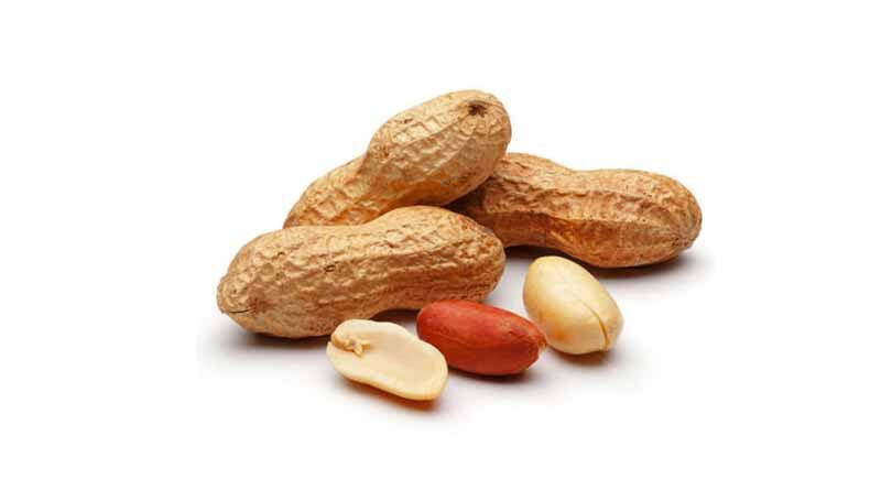 24 MT of groundnuts exported to Nepal from West Bengal